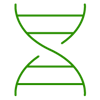 Cell & Gene